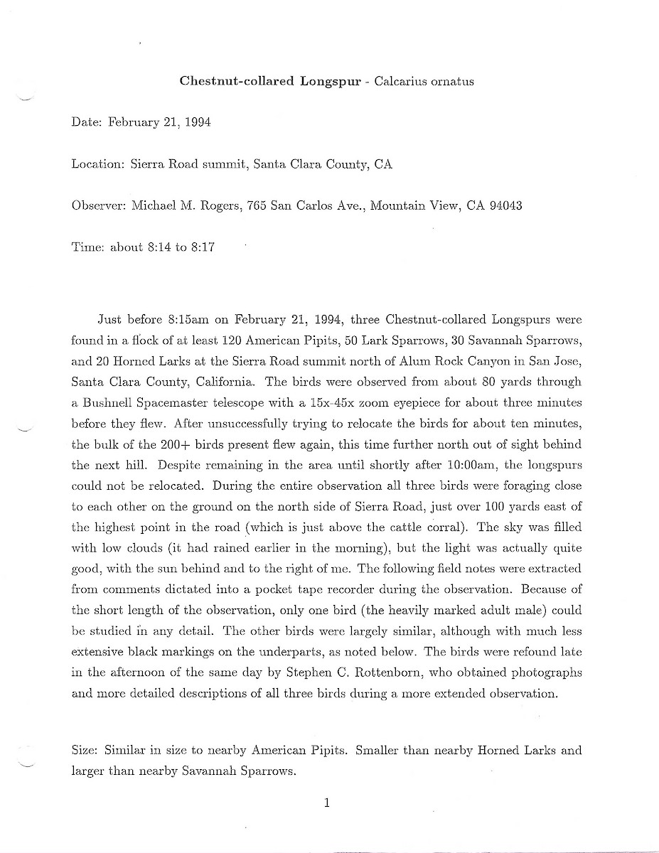 Подорожник чорногрудий - ML644607281