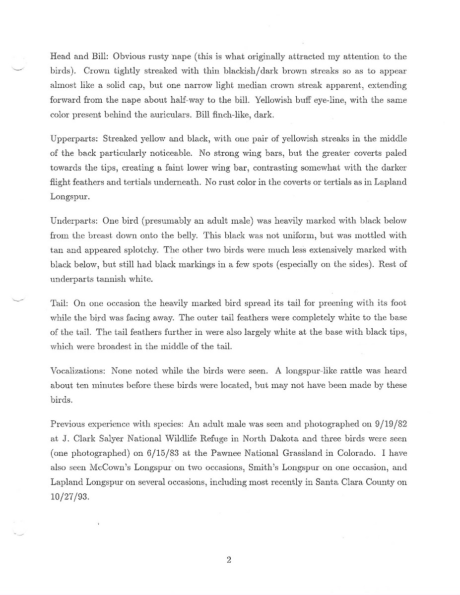 Подорожник чорногрудий - ML644607290