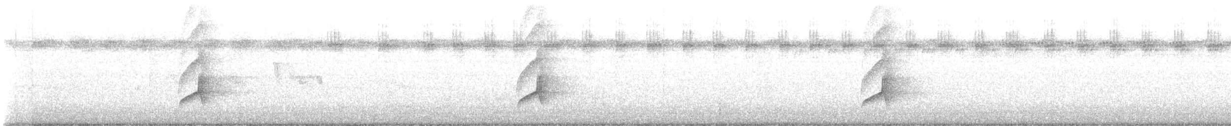 Копетон чубатий - ML644607375