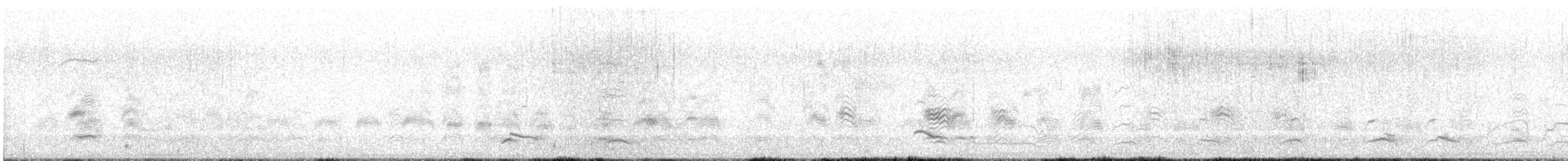 Bonaparte's Gull - ML644607405