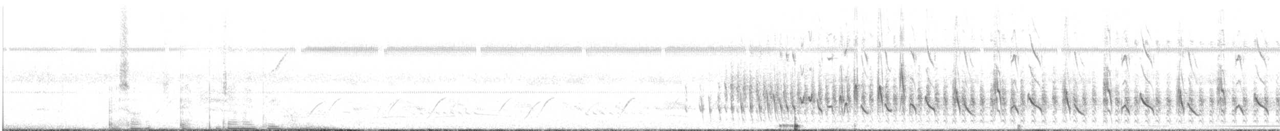 White-rumped Tanager - ML644607501