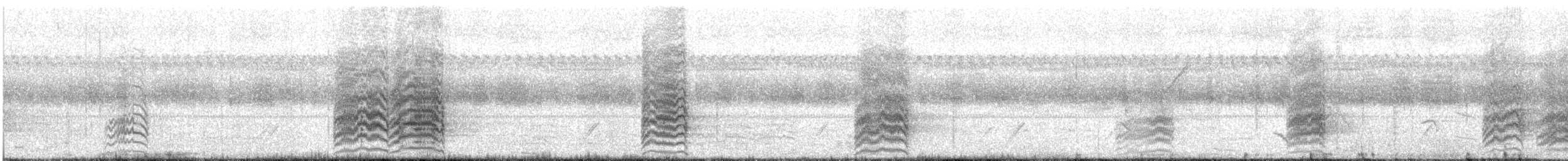 Yellow-collared Macaw - ML644607512