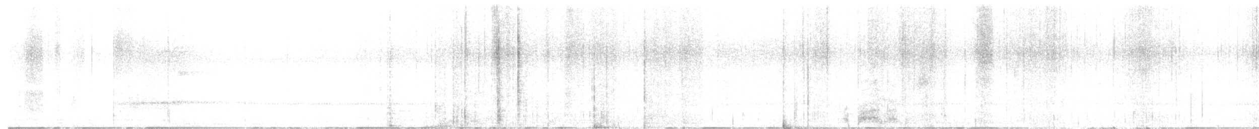 American Barn Owl - ML644607556