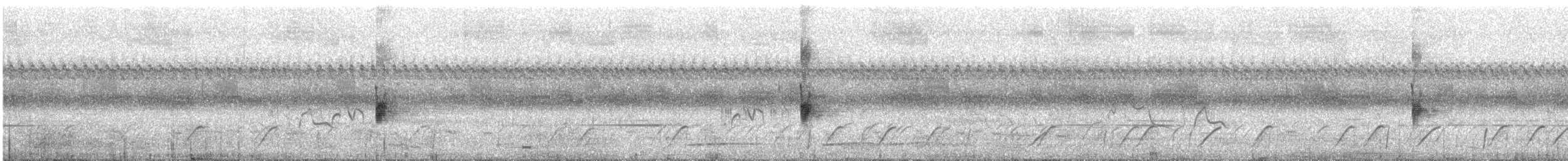 マミジロマネシツグミ - ML644607654