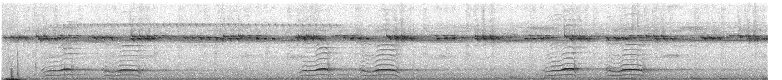 Laughing Falcon - ML644608099