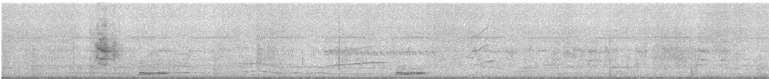 Turquoise-browed Motmot - ML644608175