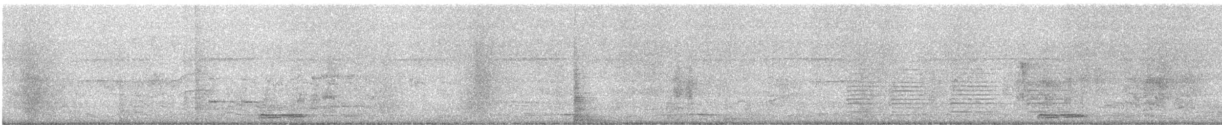 Turquoise-browed Motmot - ML644608176