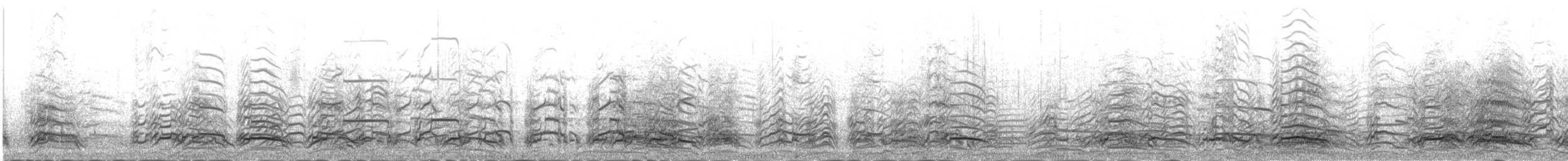 Goéland à bec cerclé - ML644608213