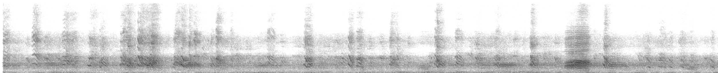 Belatxiki arrunta - ML644608773