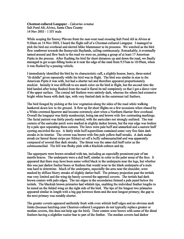 Подорожник чорногрудий - ML644609694