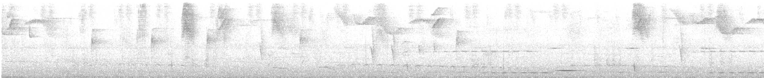 ハイイロアリモズモドキ - ML644610035