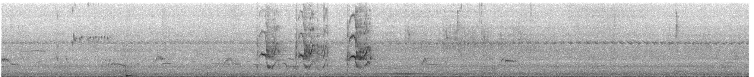 Boat-billed Flycatcher - ML644610162