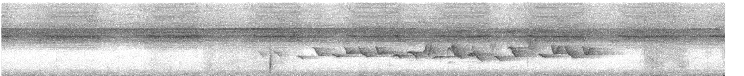 Thick-billed Seed-Finch - ML644610215