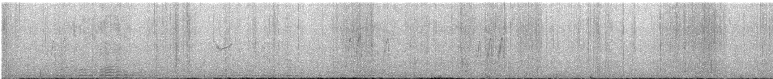 Sprague's Pipit - ML644610412