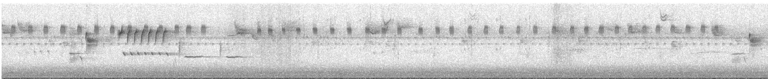 Chingolo Cantor - ML644610541