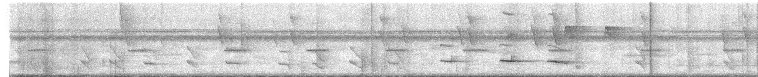 Chestnut-backed Antbird - ML644610634