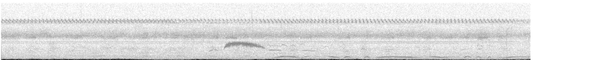 Yellow-bellied Elaenia - ML644610820