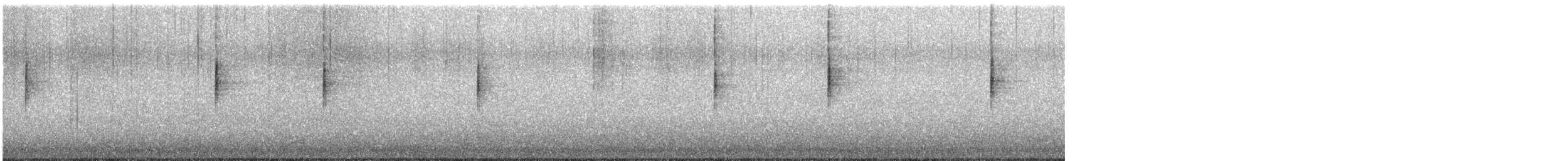 MacGillivray's Warbler - ML644610933