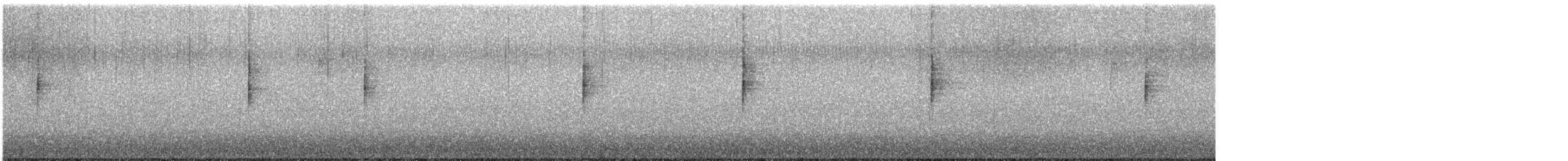 MacGillivray's Warbler - ML644610934