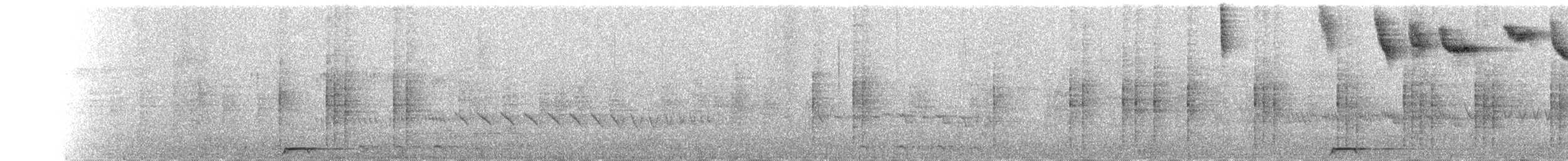 Rufous-headed Ground-Roller - ML644613293