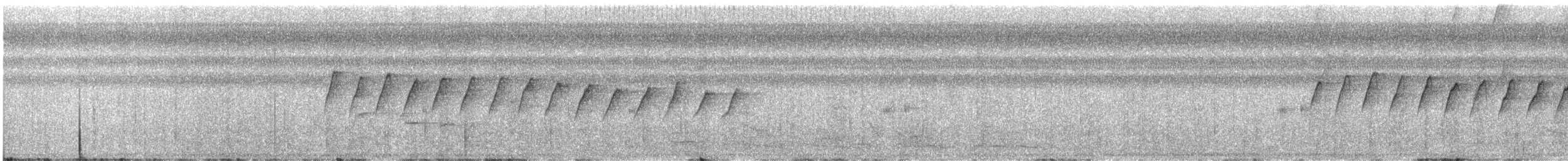 White-browed Gnatcatcher - ML644613332