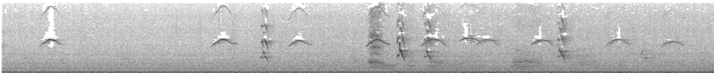 Мартин австралійський (підвид novaehollandiae/forsteri) - ML644613811