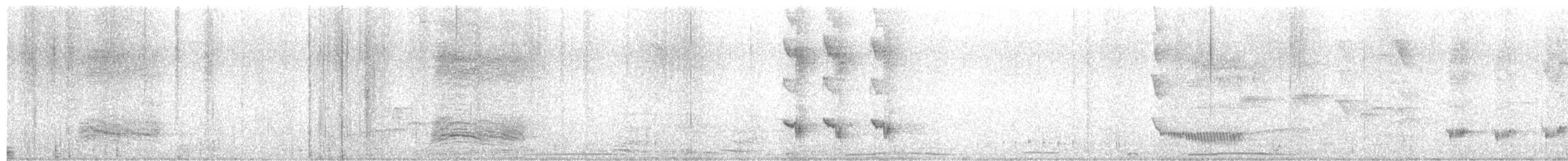 Solitary Black Cacique - ML644615956