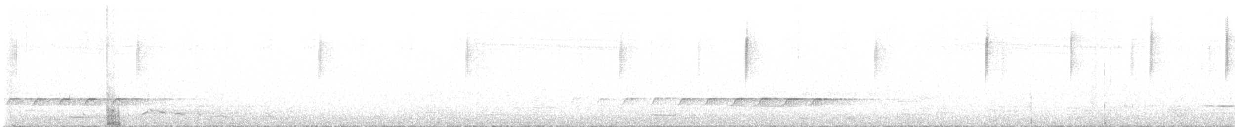 White-throated Treecreeper - ML644616134