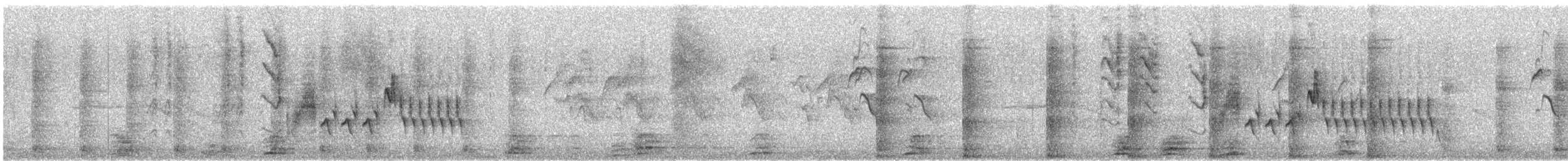 Southern House Wren - ML644616546