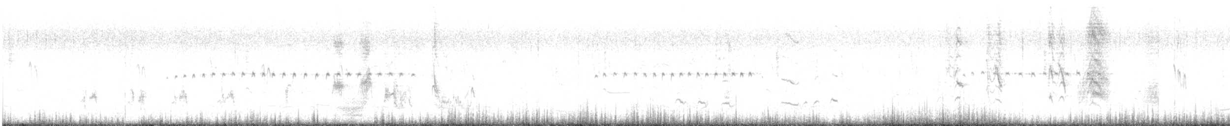 Bay-backed Shrike - ML644616946