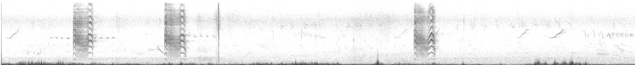 Bay-backed Shrike - ML644616947