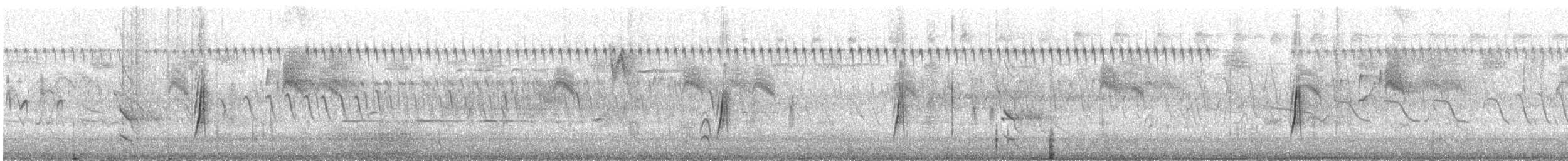 Moucherolle des saules - ML644617202