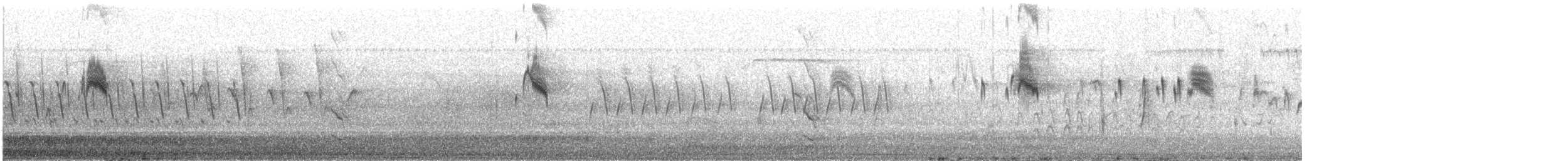 østkongetyrann - ML644617208