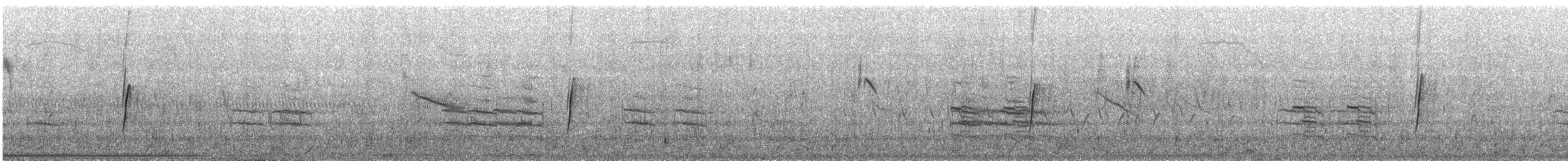 Moucherolle des saules - ML644617619