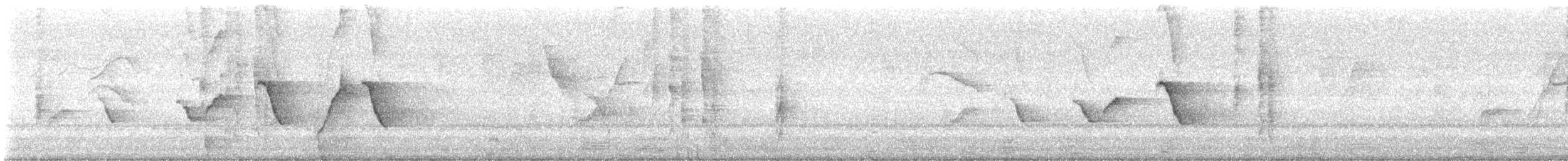 Kuzeyli Kara Yüzlü Kocabaş - ML644618385