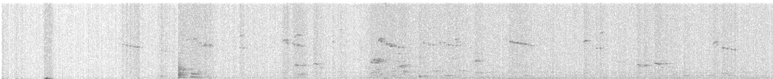 Little Swift - ML644619148