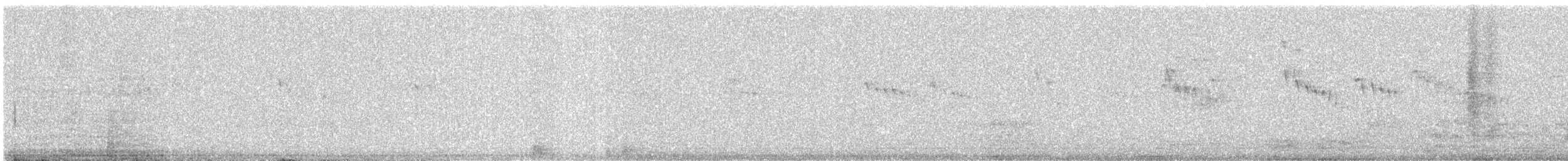 Little Swift - ML644619153