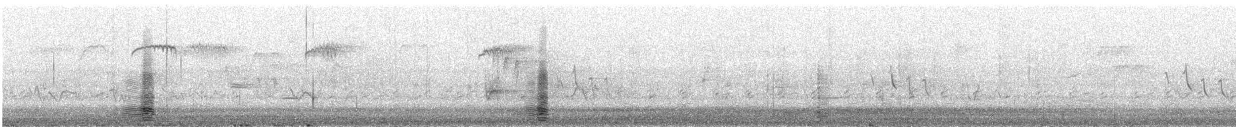 Bernache du Canada - ML644619179