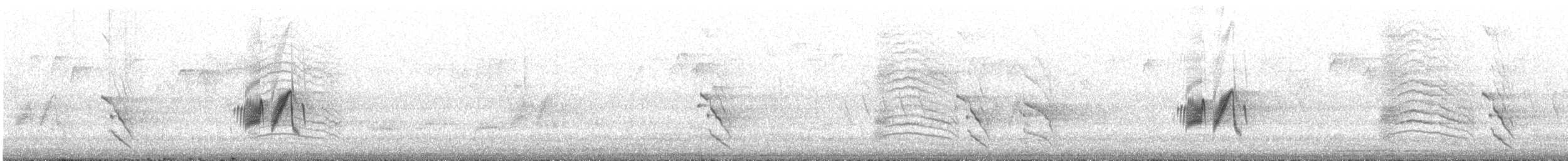 Moucherolle des aulnes - ML644619187