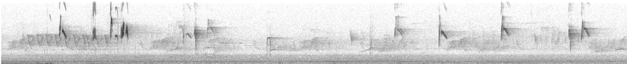 østkongetyrann - ML644619212