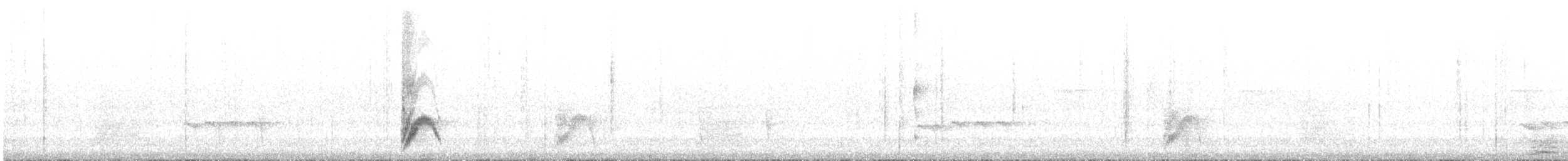 Batarito Cabecigrís - ML644619759