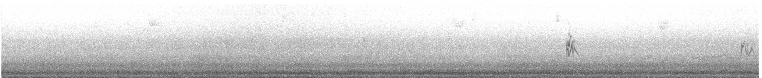 Pine Siskin (Northern) - ML644619763