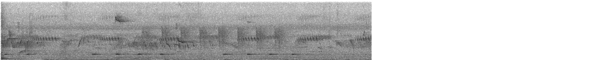 gulgumpkobberslager (bilineatus gr.) - ML644619875