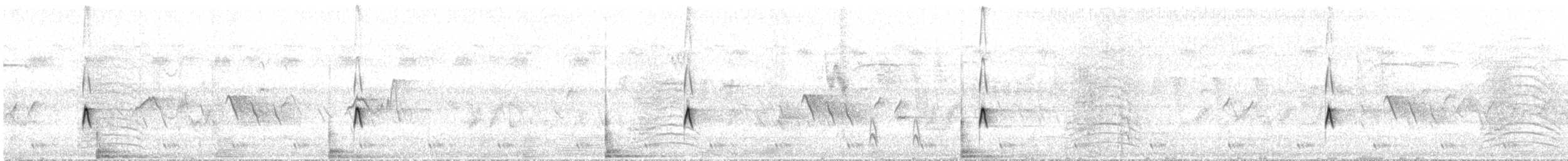 Moucherolle des aulnes - ML644620102