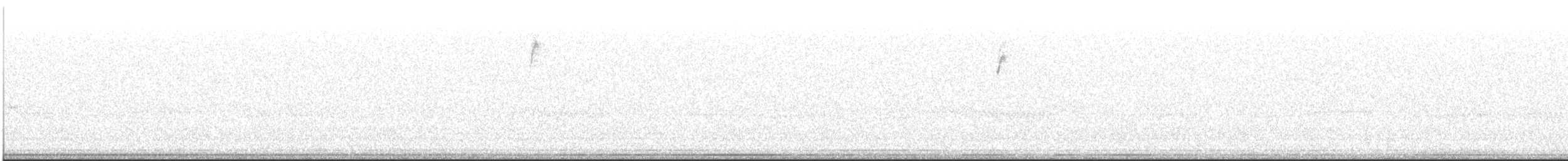 Paruline couronnée - ML644620231