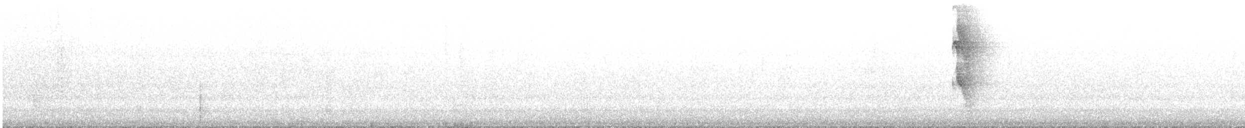 Ceara Gnateater - ML644620301