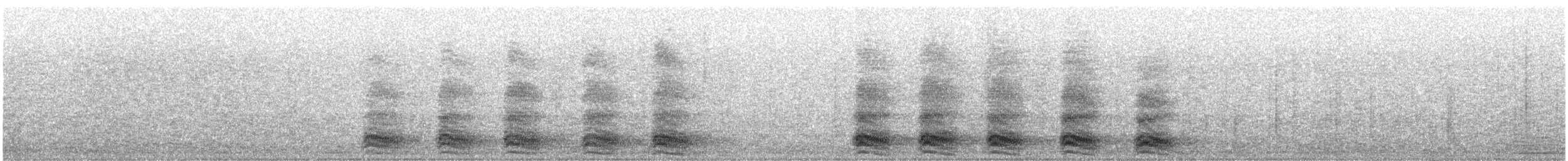 Corneille d'Amérique - ML644620973