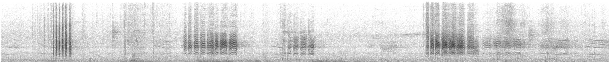 Oriole de Baltimore - ML644621162