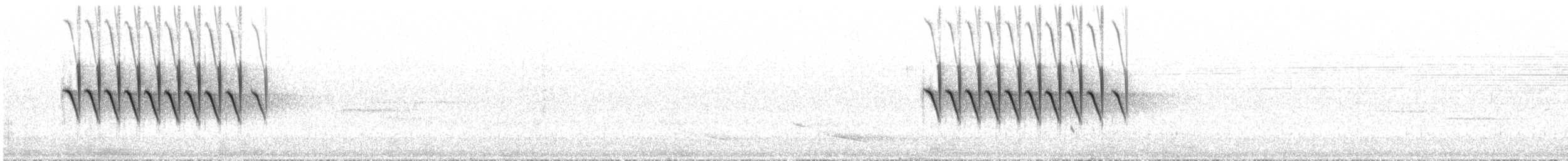 Junco ardoisé (hyemalis/carolinensis) - ML644621183