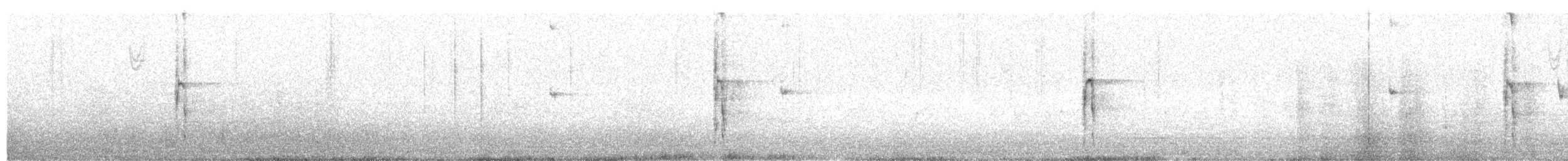 strakapoud americký - ML644621188